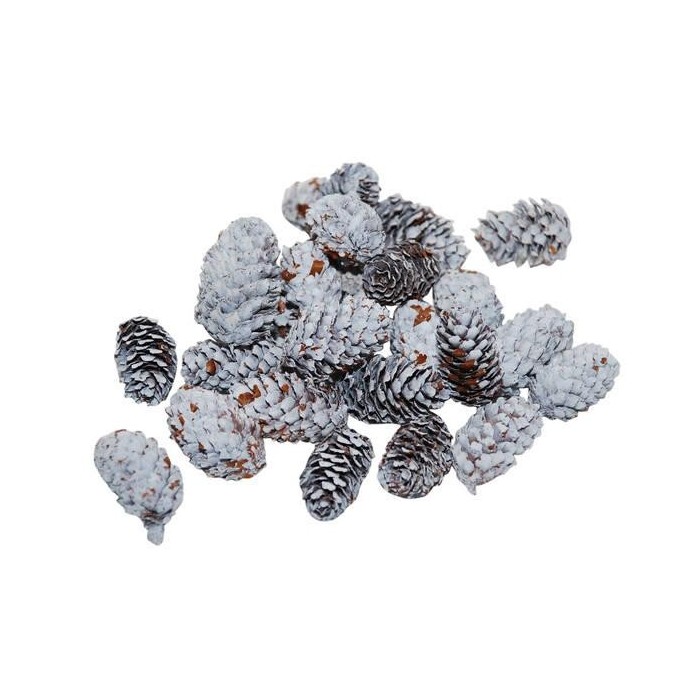 PIGNE BIANCHE 4-5CM WHITE 180GR. MINI